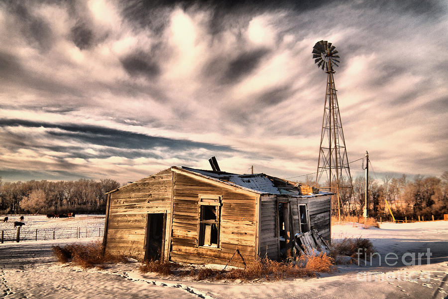 Cabin Photograph - Once a sheepherders cabin by Jeff Swan