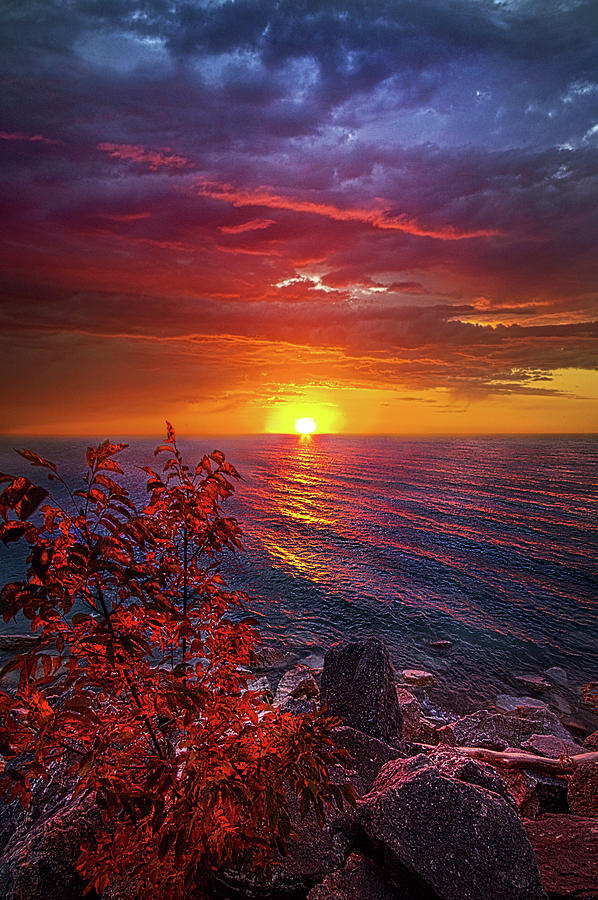 Once Again Photograph by Phil Koch