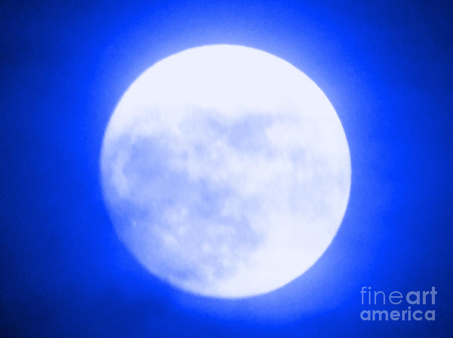 Once in a Blue Moon Photograph by Carol Eliassen