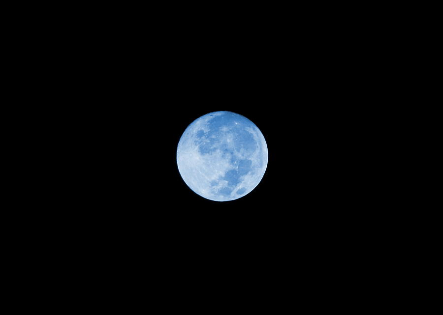 Once In A Blue Moon Photograph by Colleen Cornelius