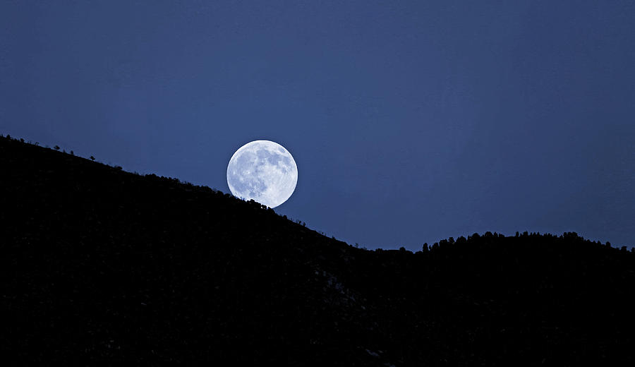 Once In A Blue Moon  Photograph by Donna Kennedy