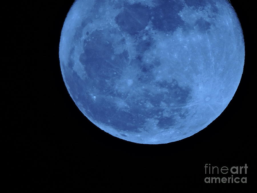 Once in a Blue Moon Photograph by Mim White
