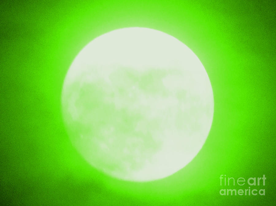 Once in a Lime Green Moon Photograph by Carol Eliassen