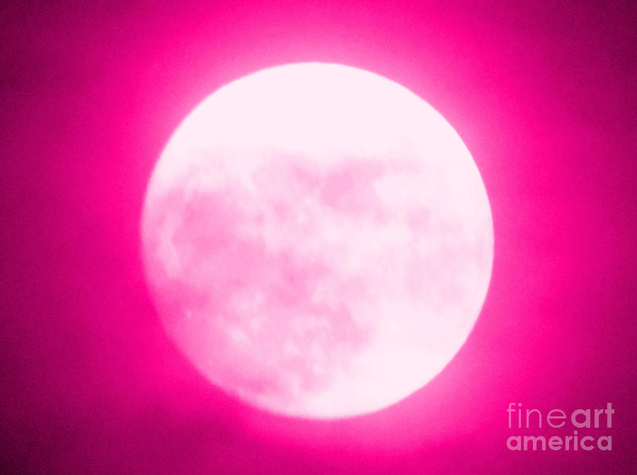 Once in a Pink Moon Photograph by Carol Eliassen