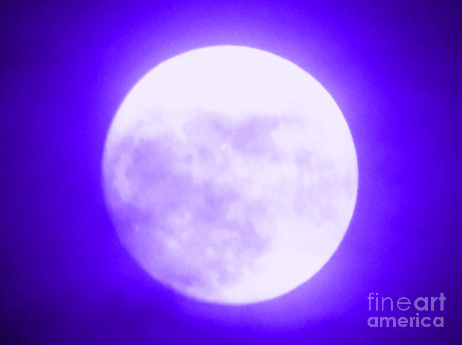 Once In A Purple Moon Photograph