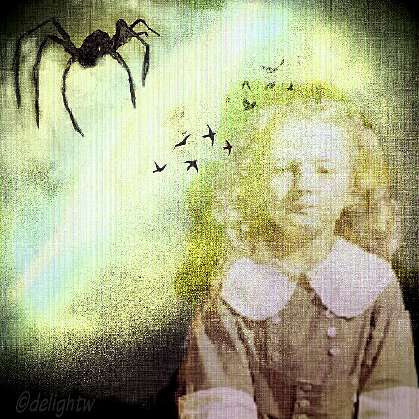 Once There Was A Spider Digital Art by Delight Worthyn