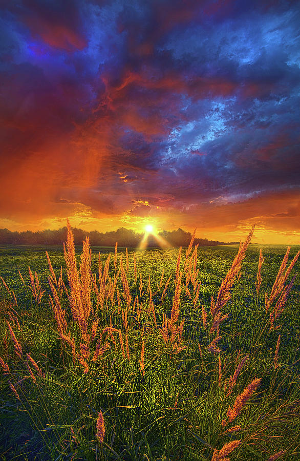 Summer Photograph - Once Uopn A Dawning Light by Phil Koch