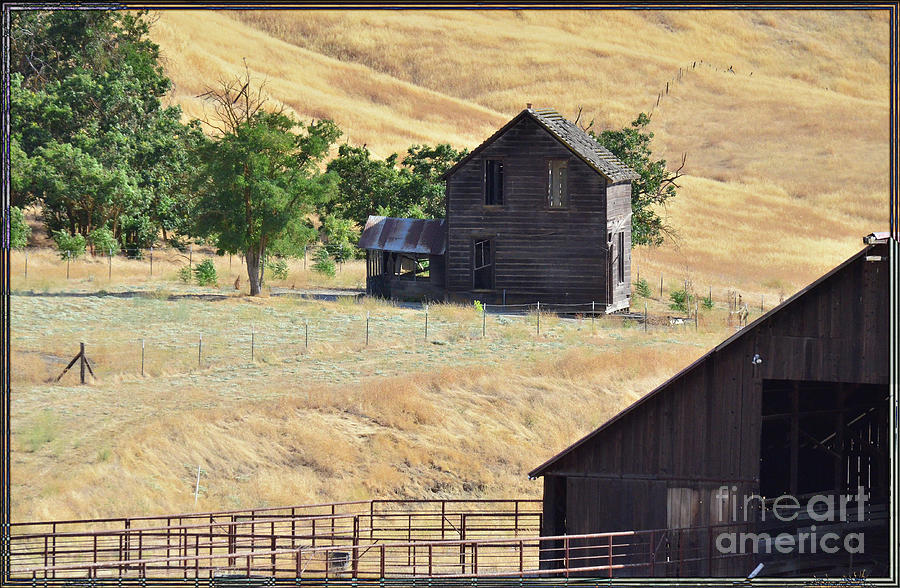 Once Upon A Homestead Photograph by Debby Pueschel