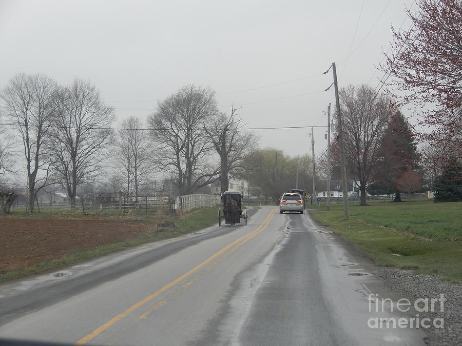 Oncoming Amish Buggy Photograph by Christine Clark