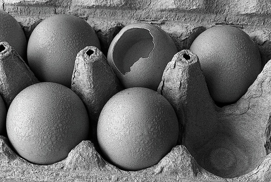 One Bad Egg Photograph by Sandra Church