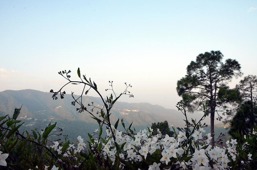 One Beautiful Morning in Himalaya - Harsh Malik  Photograph by Harsh Malik