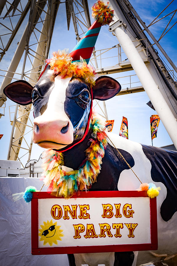 One Big Party OC Fair 1 Photograph by Vivian Frerichs - Fine Art America