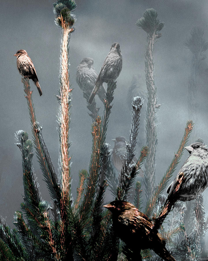 One Bird, Many Perspectives Digital Art by Sandra Nesbit