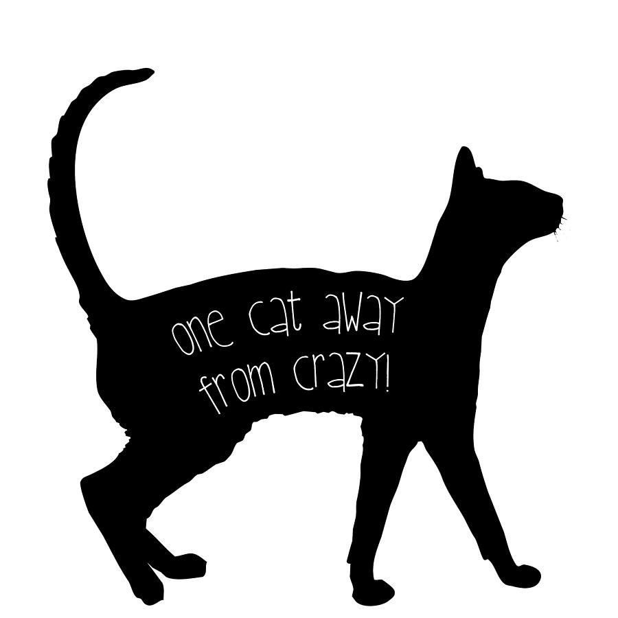 One Cat Away From Crazy Digital Art by Nancy Ingersoll