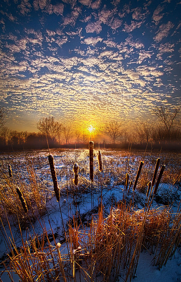 Winter Photograph - One Day At A Time by Phil Koch
