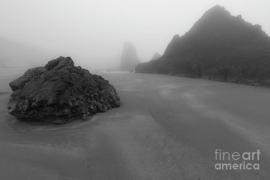 Black And White Photograph - One Day In The Fog by Masako Metz