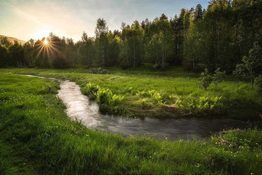 Summer Photograph - One Day Of Summer by Tor-Ivar Naess