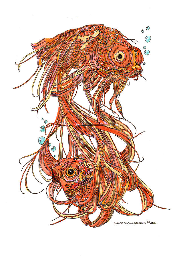 One Fish Two Fish Drawing