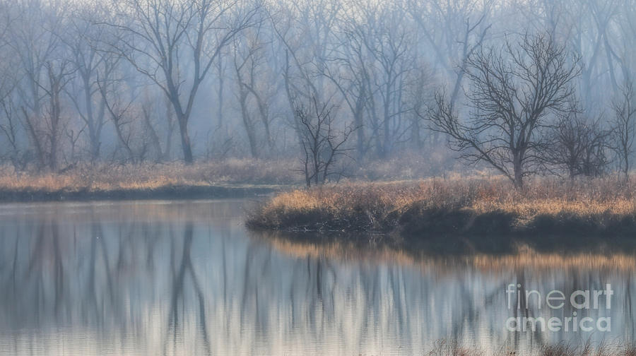 One Foggy Morning Photograph by Elizabeth Winter