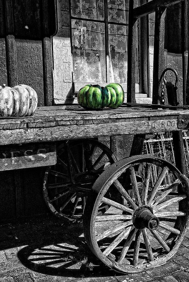 One Green Pumpkin  Photograph by Paul W Faust - Impressions of Light