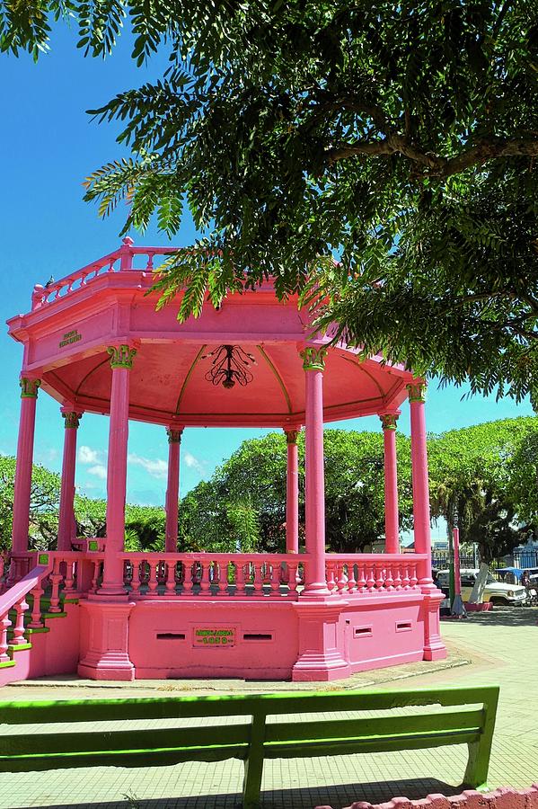 One Hot Pink Pavilion Photograph by Kirsten Giving