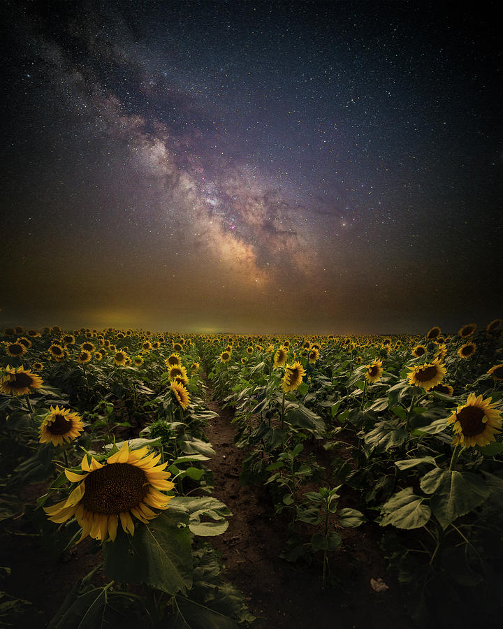 Milky Way Photograph - One In A Million  by Aaron J Groen