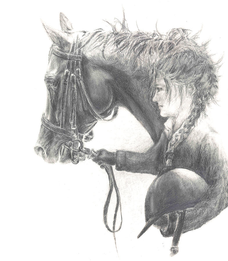Horse Drawing - One Intent by Barbara Widmann