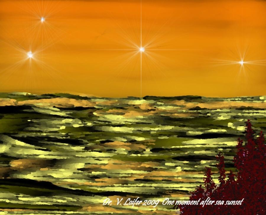 One moment after sea sunset Digital Art by Dr Loifer Vladimir