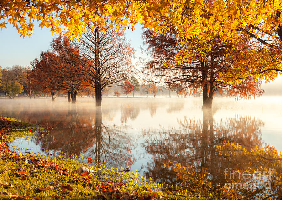 One more day of Autumn Photograph by Iris Greenwell