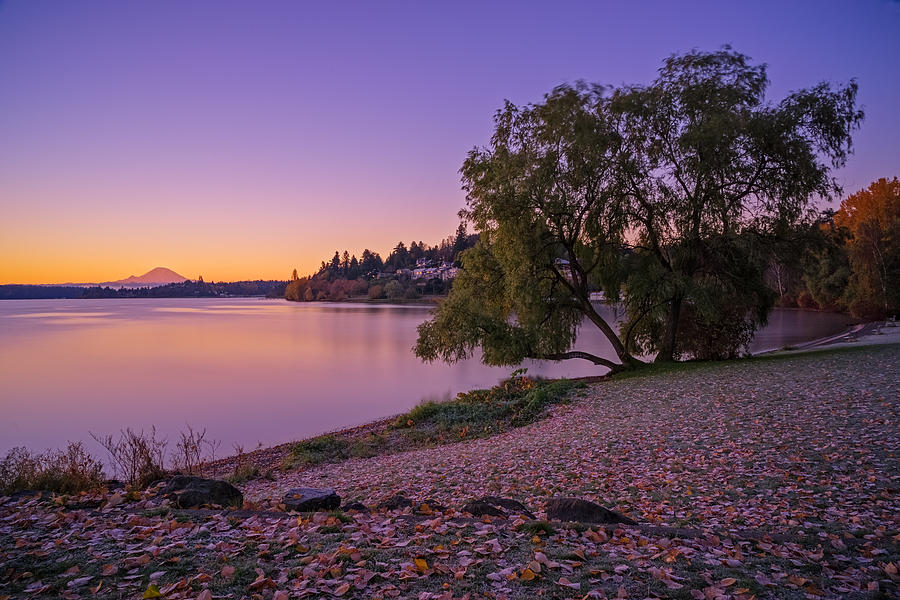 One Morning at the Lake Photograph by Ken Stanback