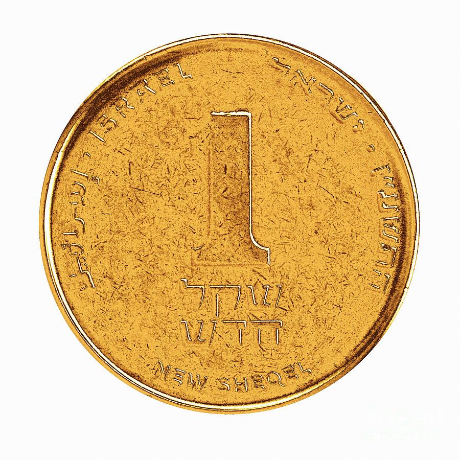 One New Israeli Shekel coin 10 Photograph by H Pixels