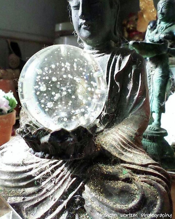 One Of Our Buddhas And Crystal Photograph by Stephanie Piaquadio