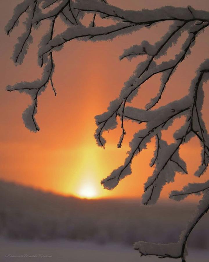 Sunset Photograph - Winter sunset in Lapland by Sannamari Blinnikka-Tyrvainen