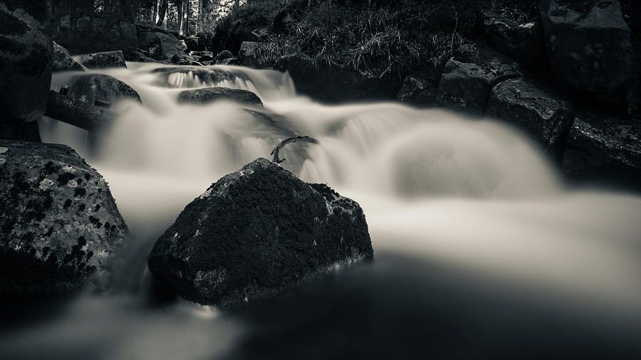 one of these little streams in the Harz Photograph by Andreas Levi