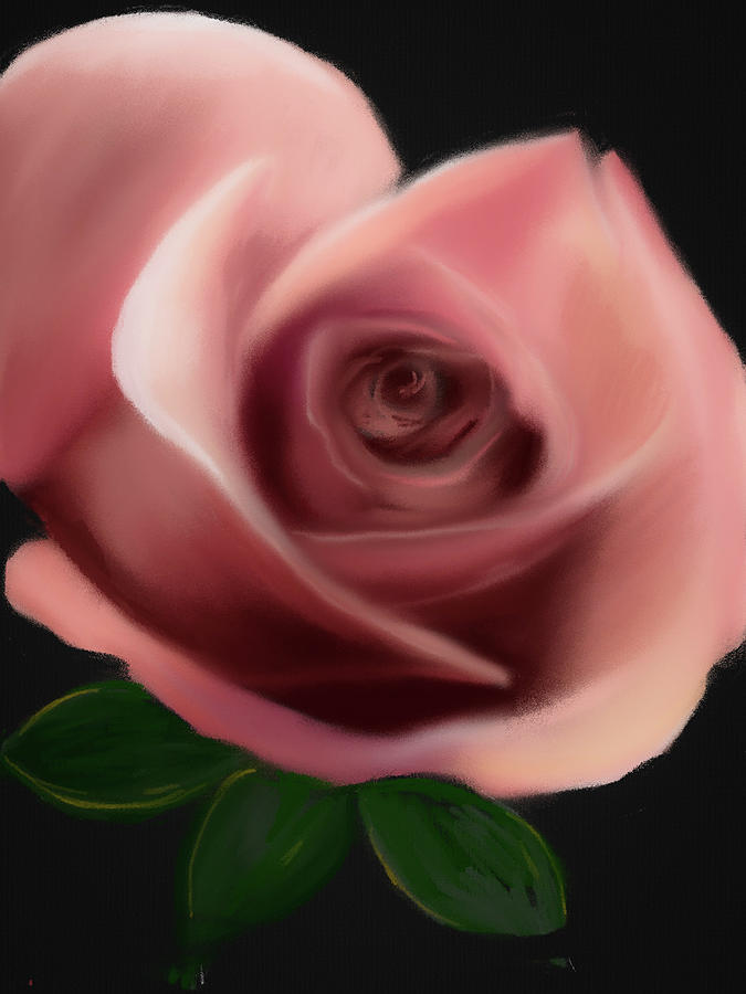 Perfect Pink Rose Digital Art by Michele Koutris