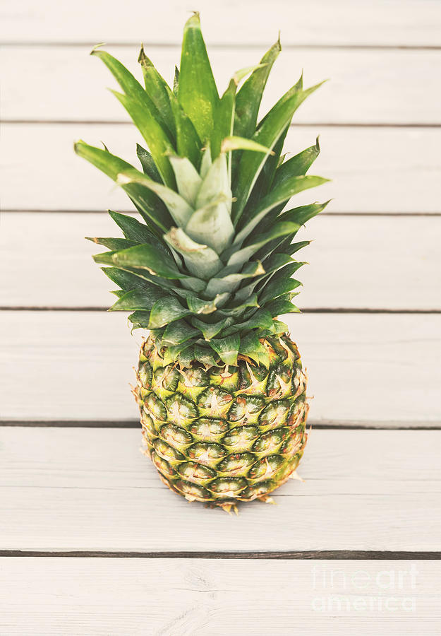 One pineapple on wood Photograph by Sophie McAulay