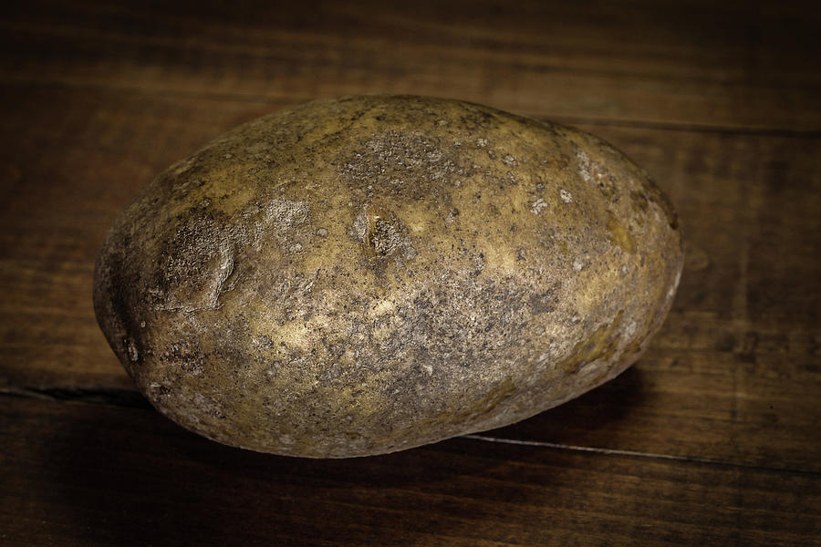 One Potato Photograph by Ray Congrove