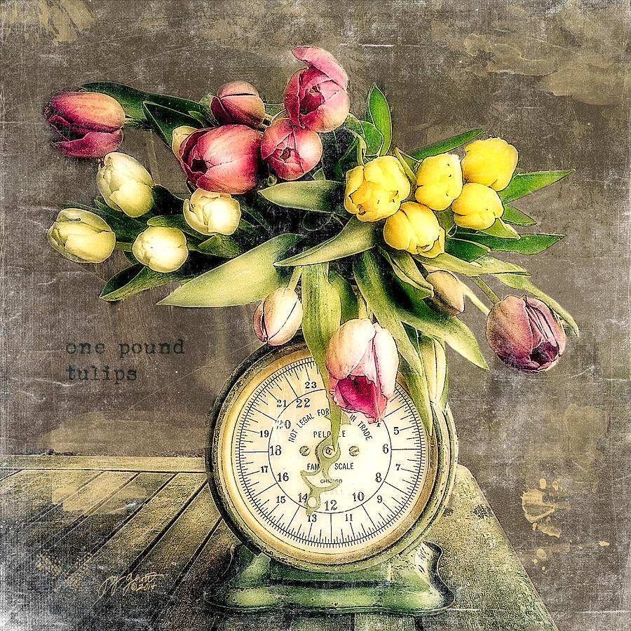 Tulips Photograph - One Pound Tulips by Joy Gerow Tulips Photograph - One Pound Tulips by Joy Gerow