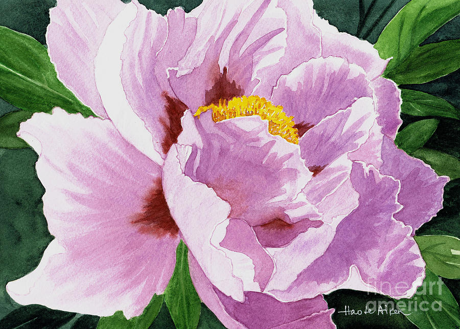 One Pretty Peony - Watercolor Painting by Hao Aiken