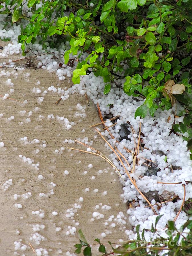 one Quarter inch Hail April 4 11 2016 Photograph by Phyllis Kaltenbach