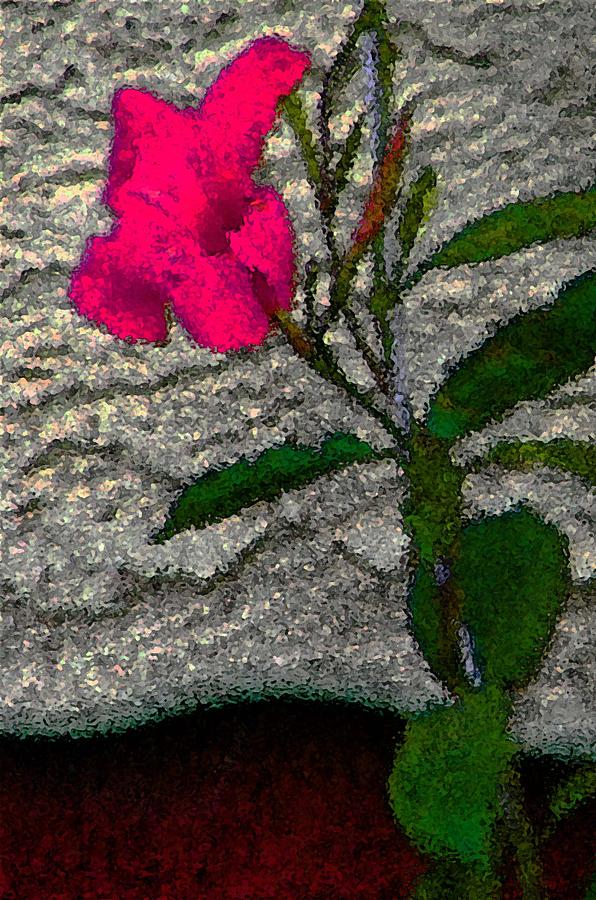 One Red Flower Digital Art by Lenore Senior