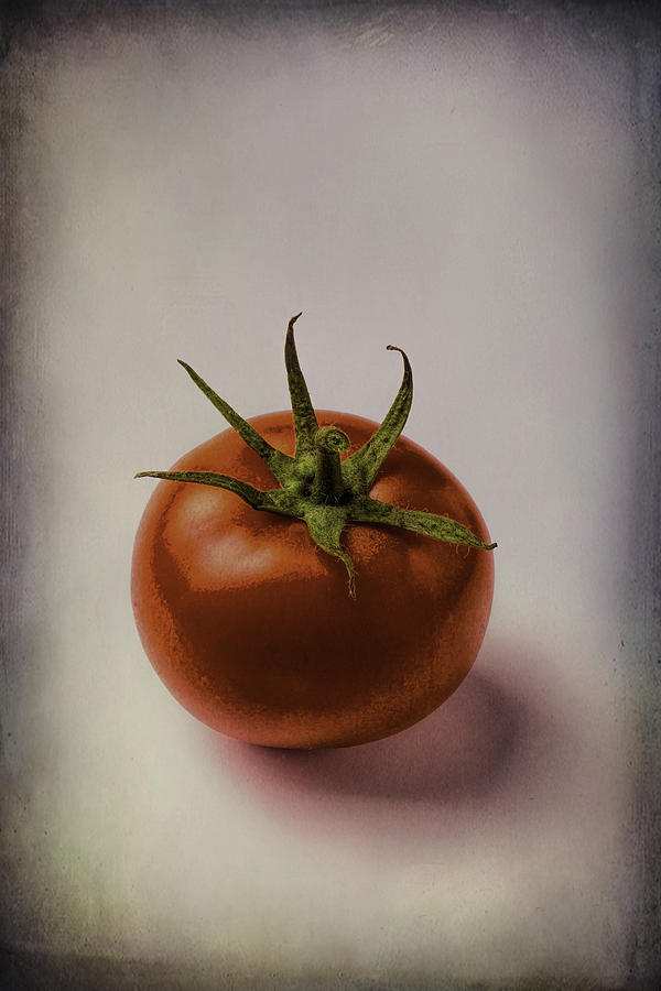 One Red Tomato Photograph by Garry Gay