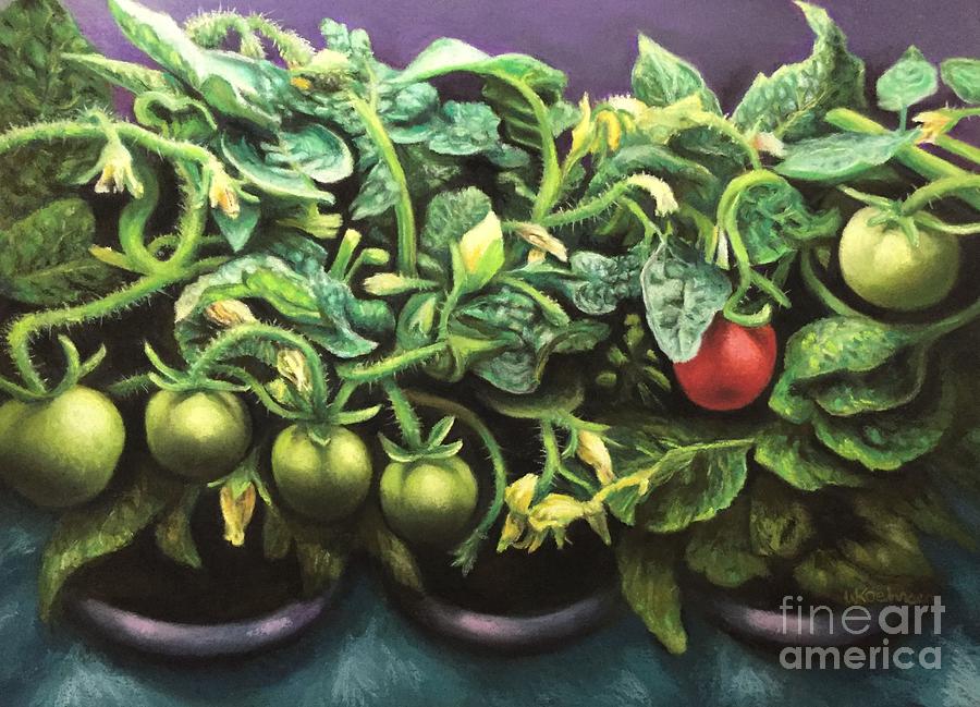 One Red Tomato Pastel by Wendy Koehrsen