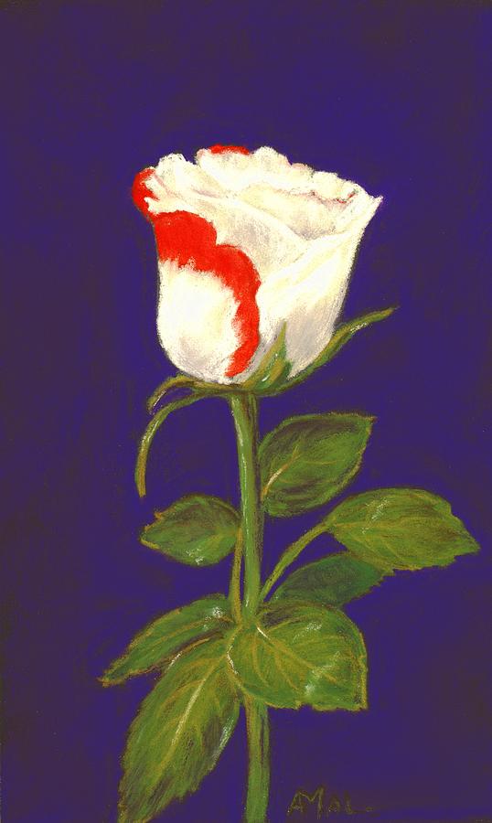 One Rose Painting by Anastasiya Malakhova