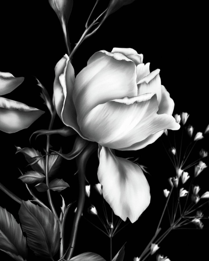 One Rose Bloom Black and White Digital Art by Georgiana Romanovna