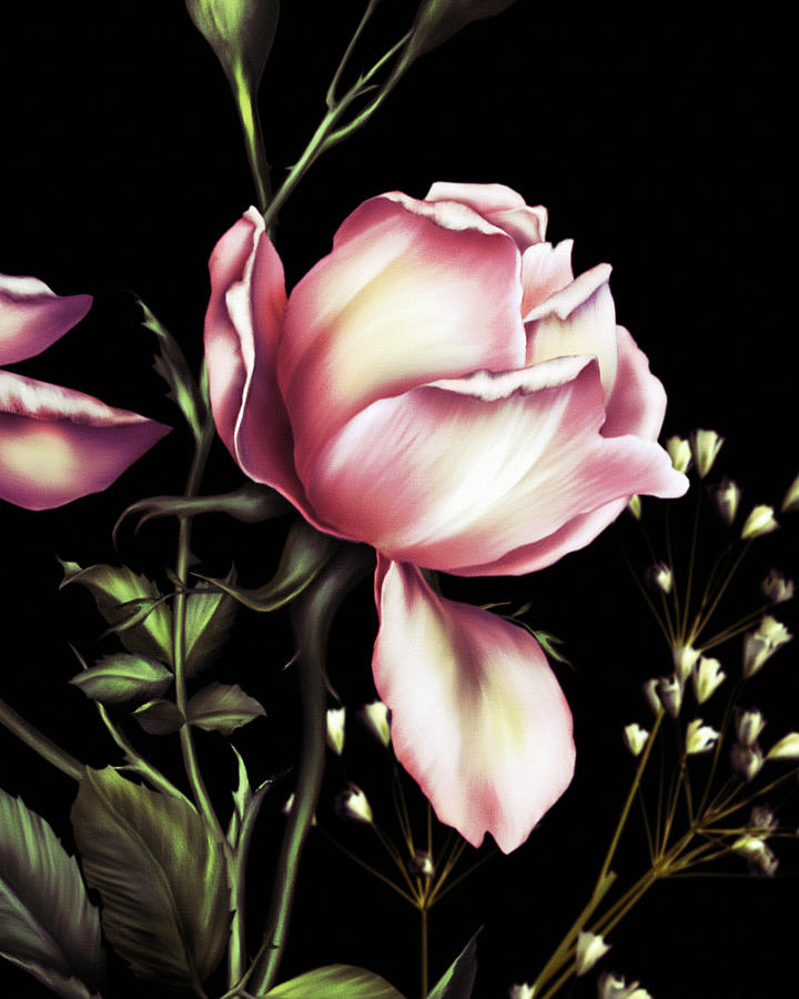 Rose Digital Art - One Rose Bloom On Black by Georgiana Romanovna