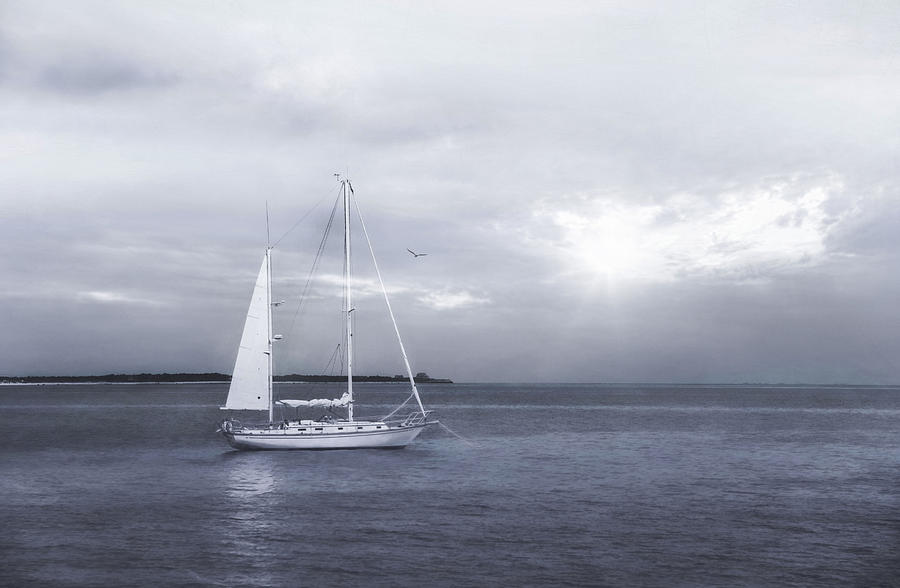 One Sail Photograph by Robin-Lee Vieira