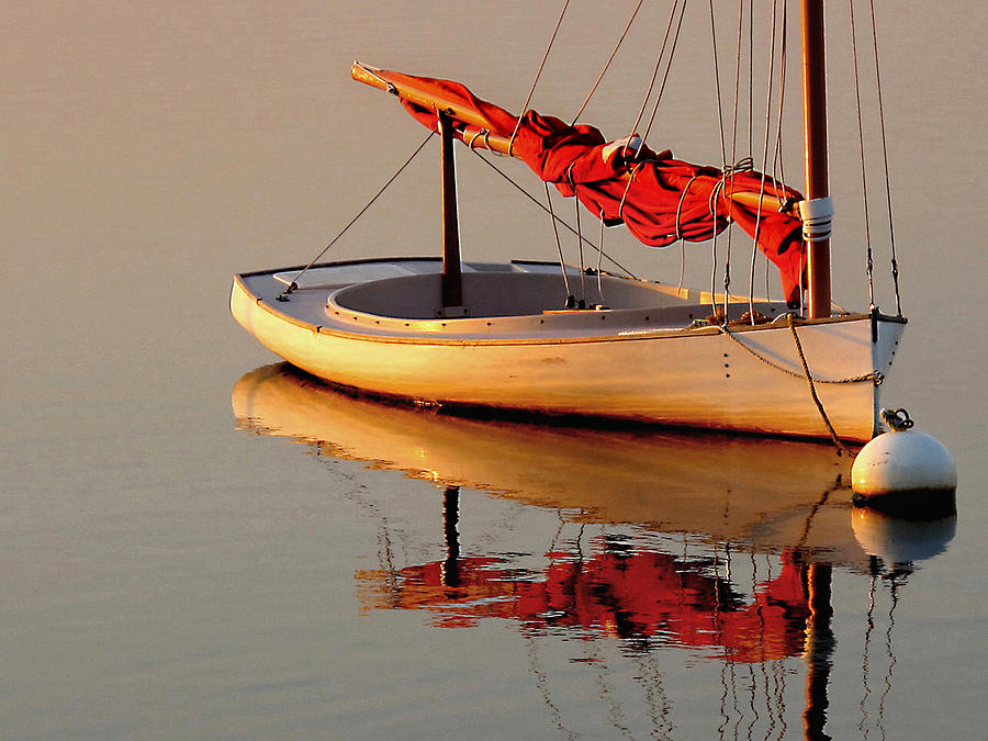 One Sailboat Photograph by JoAnn Lense