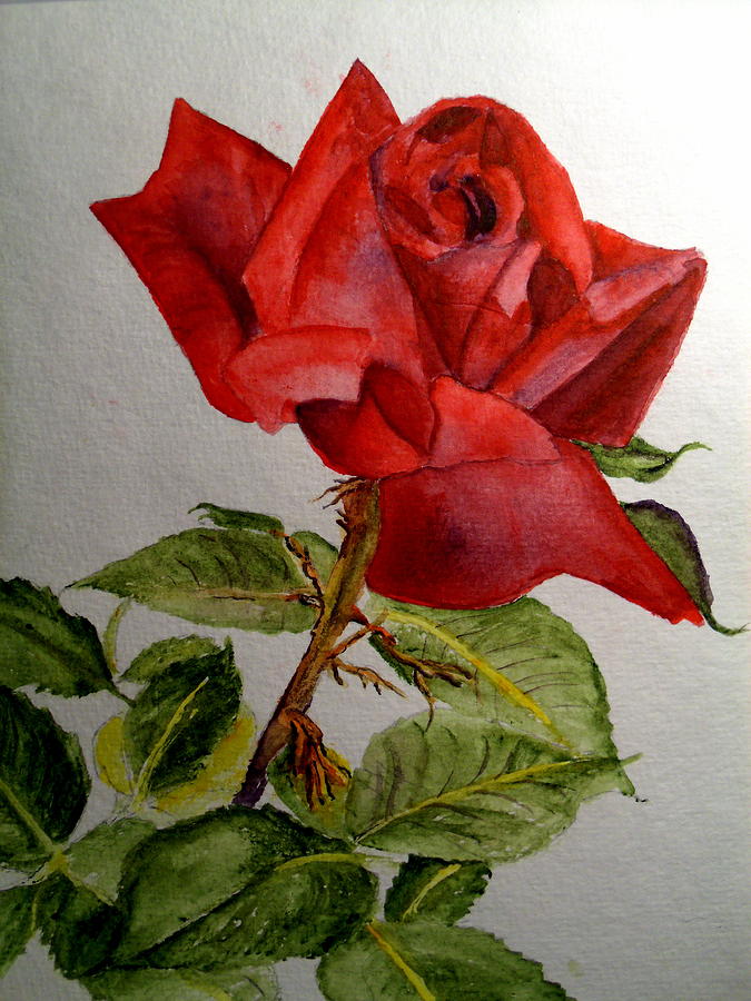 Rose Painting - One Single Red Rose by Carol Grimes