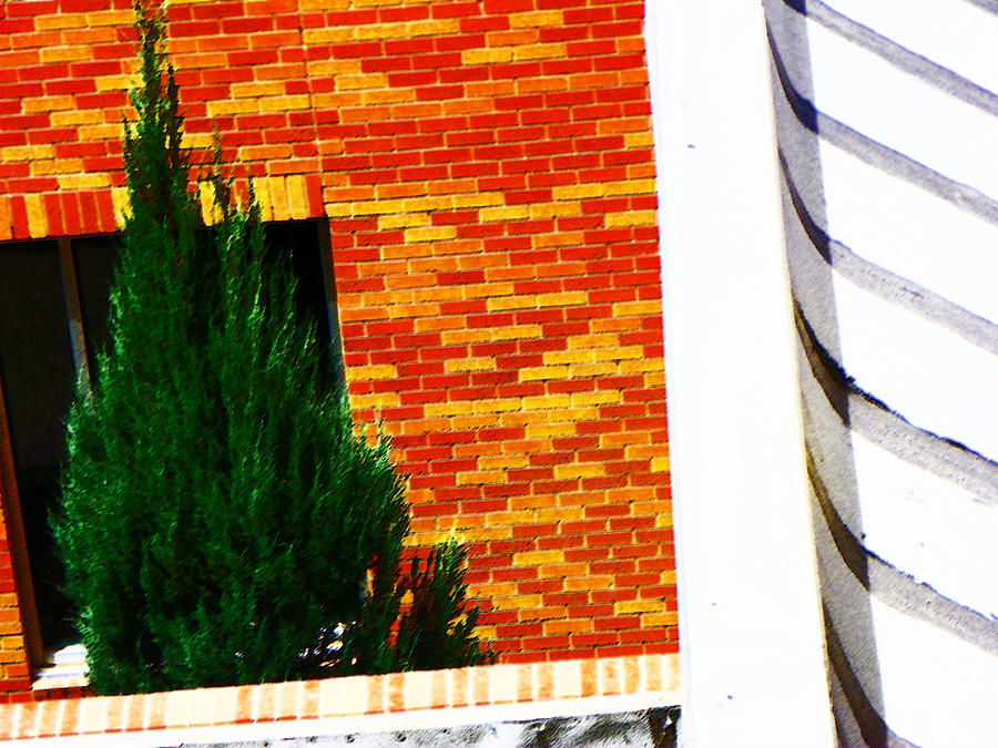 Abstract Photograph - One Tree at the Hospital by Lenore Senior